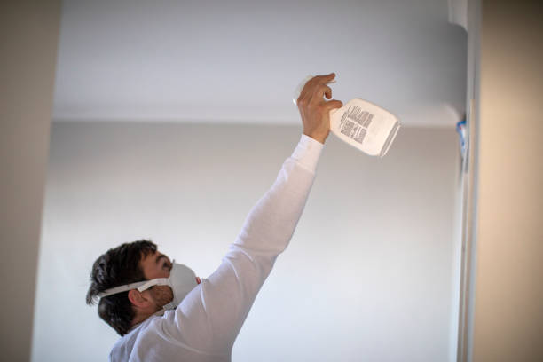 Best Professional Mold Removal  in Newton, NJ