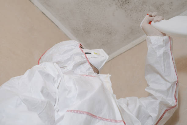 Best Mold Testing  in Newton, NJ